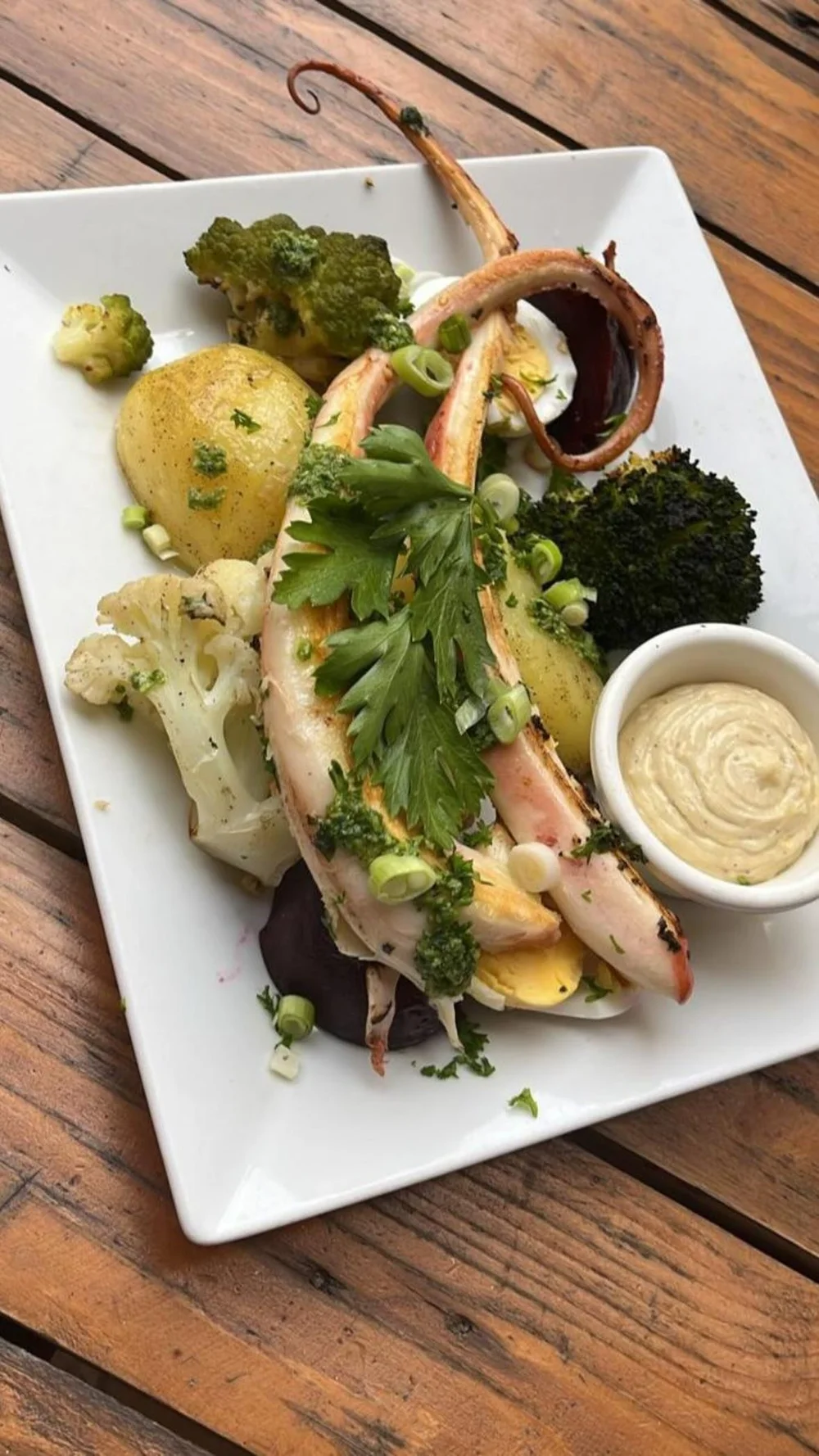 Tentacule de poulpe grillé, légumes et aïoli